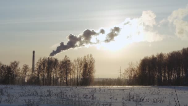 Курящая электростанция зимой . — стоковое видео