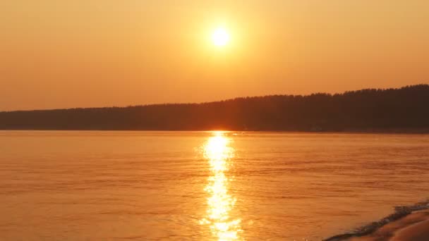 Strand vid solnedgången — Stockvideo