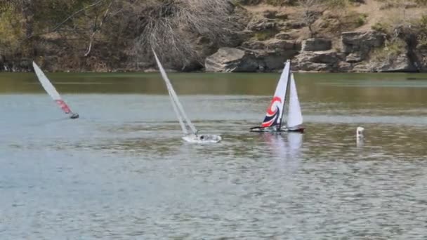 Yachts modèles en compétition dans l'étang — Video