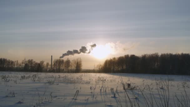 Rauch quillt im Winter aus Fabrik, Umweltverschmutzungskonzept. — Stockvideo