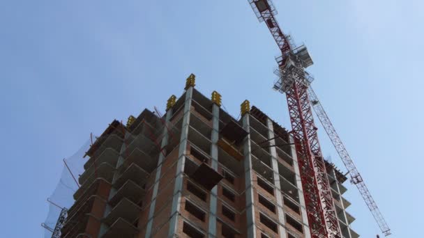 Construction site with crane and building — Stock Video