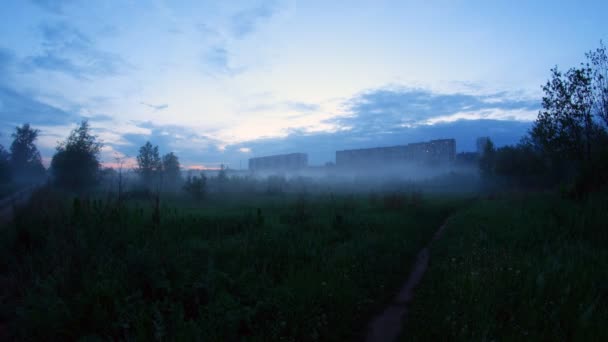 TimeLapse éjszakai erdő, felhők és a köd — Stock videók