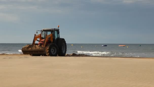 Экскаватор удаляет песок с морского пляжа — стоковое видео