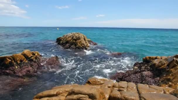 Les vagues se brisent sur un littoral pierreux — Video