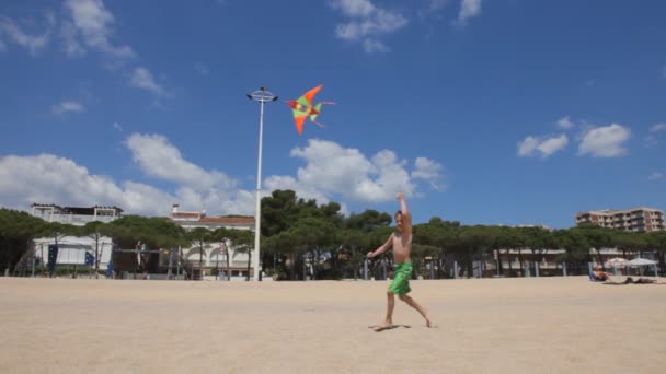 Glückliche Jungen, die am Strand einen Drachen steigen lassen — Stockvideo