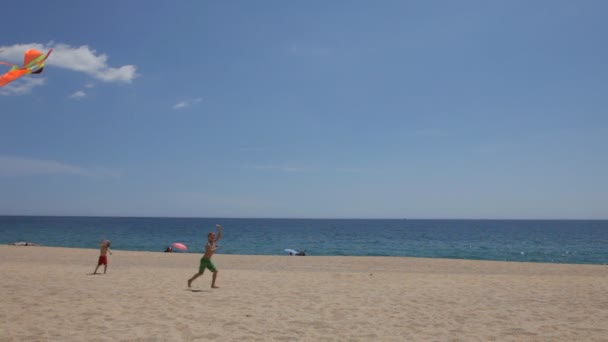 Joyeux garçons volant un cerf-volant sur la plage — Video