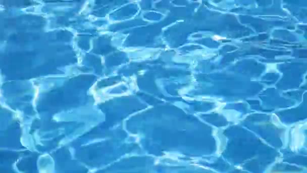 Pool water — Stock Video