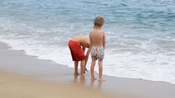 Ragazzi in piedi sulla spiaggia — Video Stock