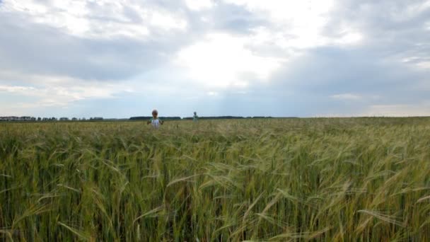 Двоє маленьких хлопчиків ходять полем — стокове відео