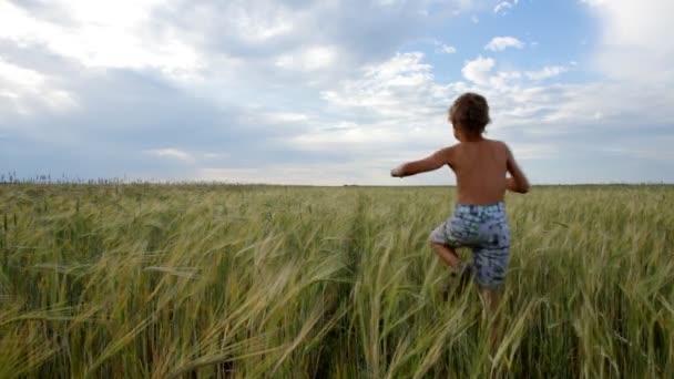 Junge läuft aufs Feld — Stockvideo