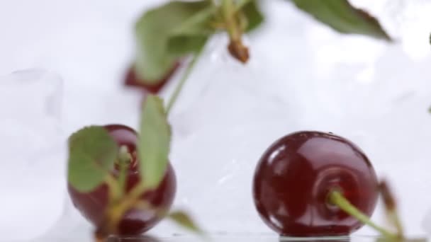 Bevroren cherry close-up — Stockvideo
