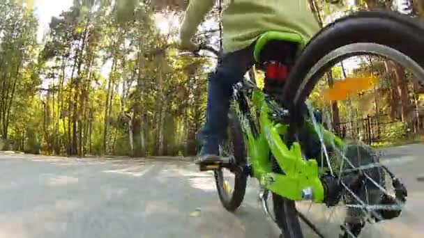 Мальчик катается на велосипеде в осенний день — стоковое видео
