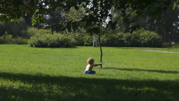 Toddler boy walking alone in garden — Stock Video