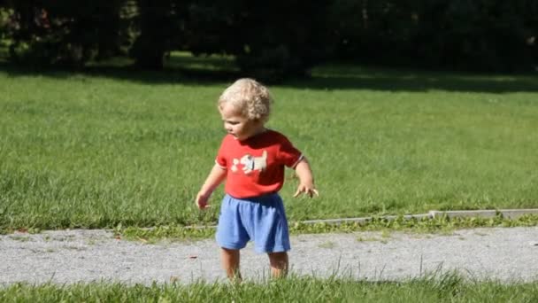 Toddler boy walking alone in garden — Stock Video