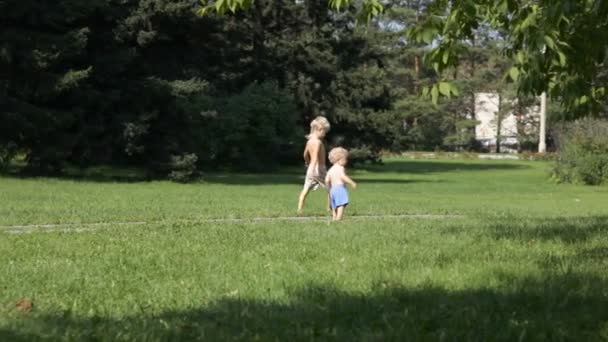 Två unga pojkar promenader i parken — Stockvideo