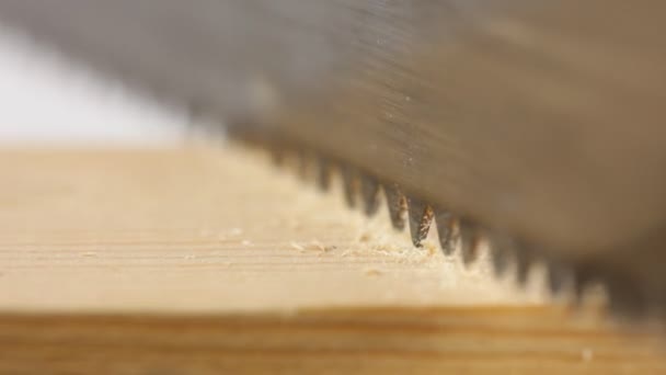 Sawing plank closeup — Stock Video