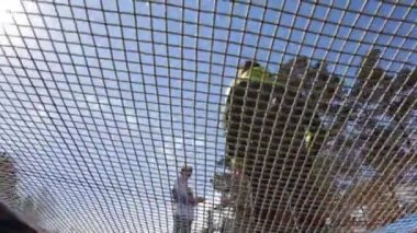 sirk akrobasi trambolin üzerinde