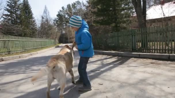 Jovem brincando com Labrador ao ar livre — Vídeo de Stock
