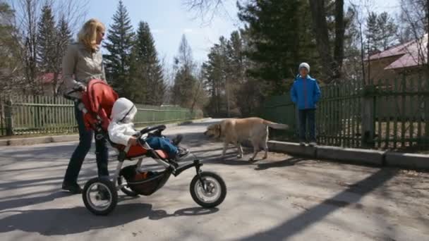 Ευτυχισμένη οικογένεια με το σκυλί τους σε εξωτερικούς χώρους — Αρχείο Βίντεο