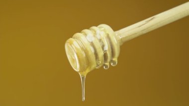 Taze bal, ahşap bir baldan aşağı akar. Yeni hasatın şeffaf balı parlak ışık ışınlarında parıldıyor. Yakın çekim yapılıyor..