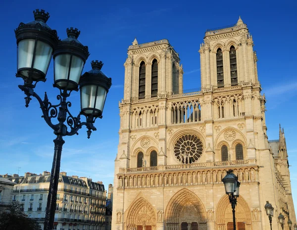 Notre Dame w Paryżu. Zdjęcie Stockowe