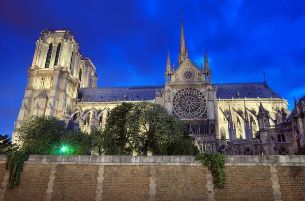 Notre Dame. — Stockfoto