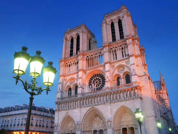 Notre Dame. — 图库照片