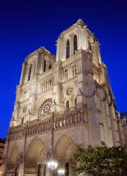 巴黎圣母院. — 图库照片