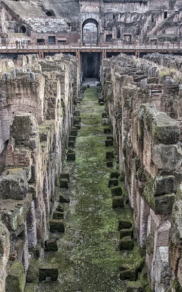 Róma colosseum belső 02 — Stock Fotó