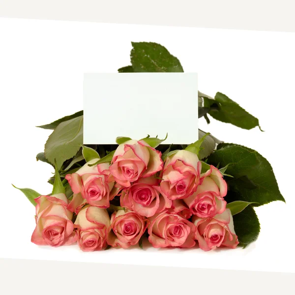 Rose con carta regalo — Foto Stock