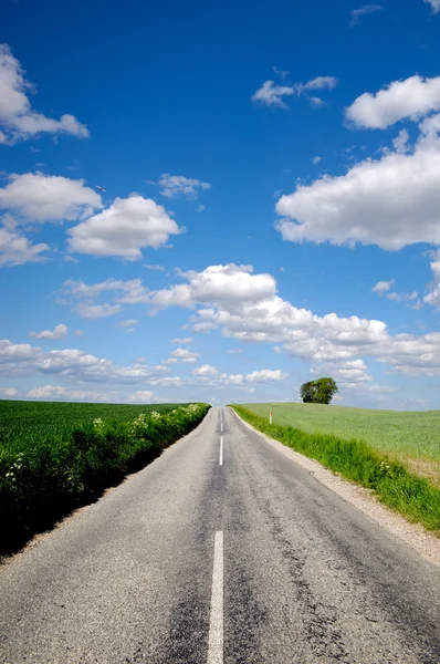 Väg- och landskap — Stockfoto