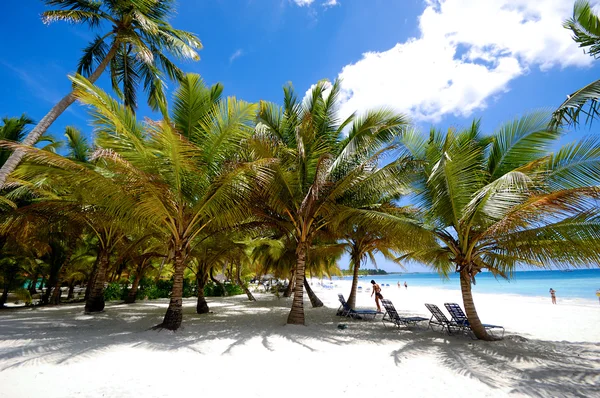 Playa Paradise — Foto de Stock