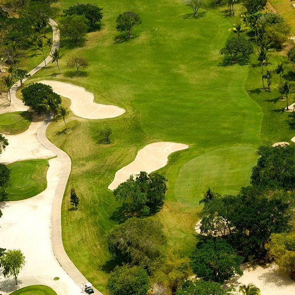 Skjermet utsikt over golfbanen – stockfoto