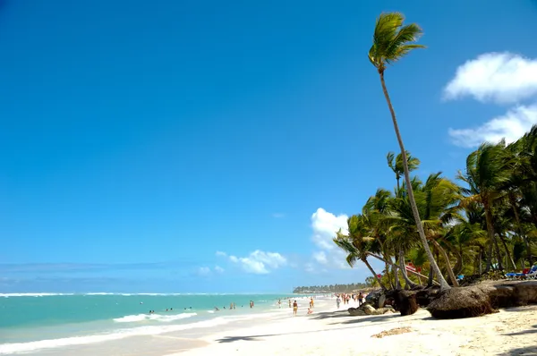 Exotische strand — Stockfoto