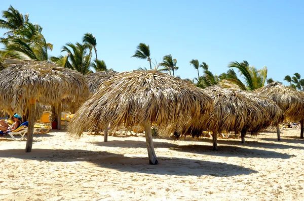 Parasols on beach — Stock Photo, Image