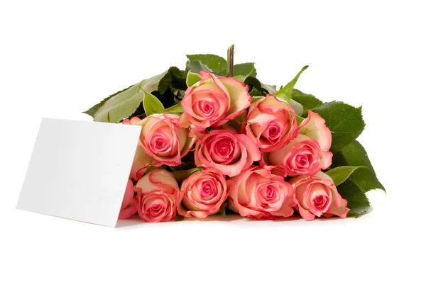 Rose con carta regalo — Foto Stock