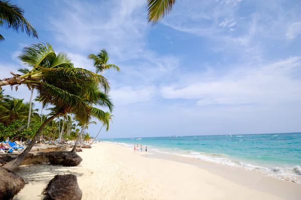 Plage des Caraïbes avec palmier et sable blanc — Photo