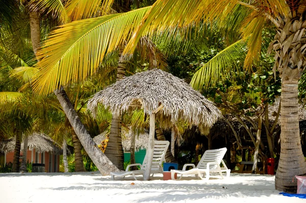 Spiaggia paradisiaca con palme e lettini — Foto Stock