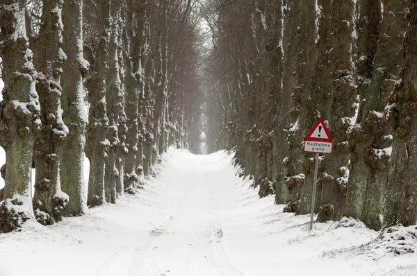 Traject op winter — Stockfoto