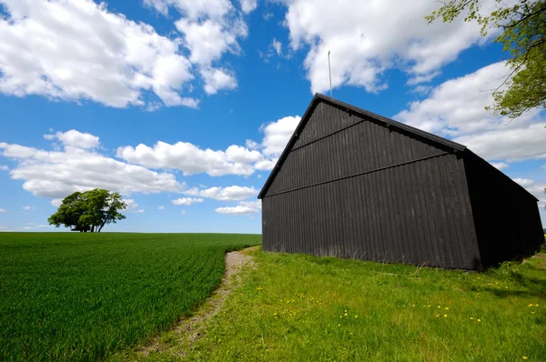 Schuur en natuur — Stockfoto