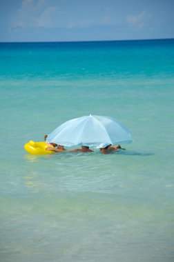 Küba 'nın egzotik sahil kenarındaki suda şempanze var.