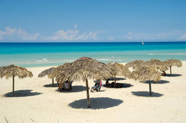 Slunečník Palmových Listů Pláži Varadero Kuba — Stock fotografie