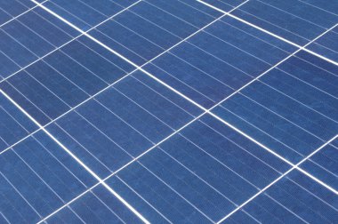 Yeşil enerji üreten güneş panelleri sıraları