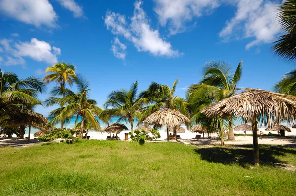 Palmen Und Sonnenschirme Exotischen Strand — Stockfoto