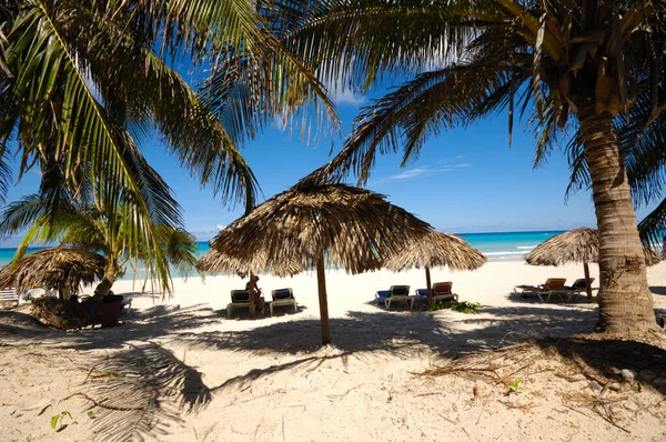 Tropical Beach Varadero Cuba Stock Picture