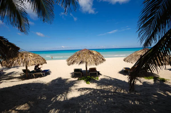 带有阳伞和棕榈的异国海滩 — 图库照片