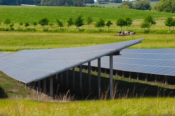 太阳能电池板和绿色自然排成行 — 图库照片