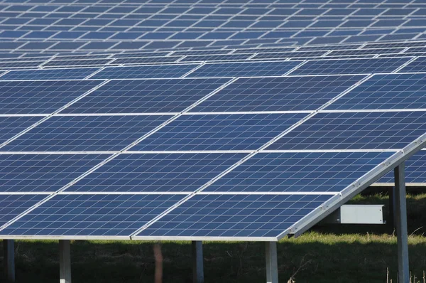 緑のエネルギーを生産する太陽電池パネルの列 — ストック写真