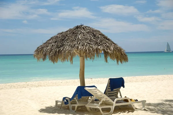 Parasol Tropisk Strand Den Dominikanske Republik Øen Saona - Stock-foto