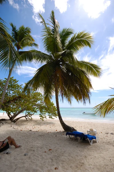 Exotischer Strand Die Dominikanische Republik Insel Saona — Stockfoto
